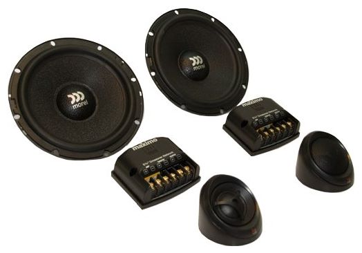 otzyvy-morel-maximo-6