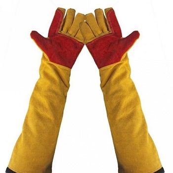 krag4