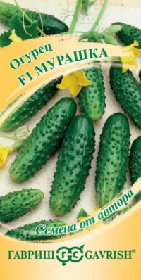 Снимок экрана 2026-03-04 170959