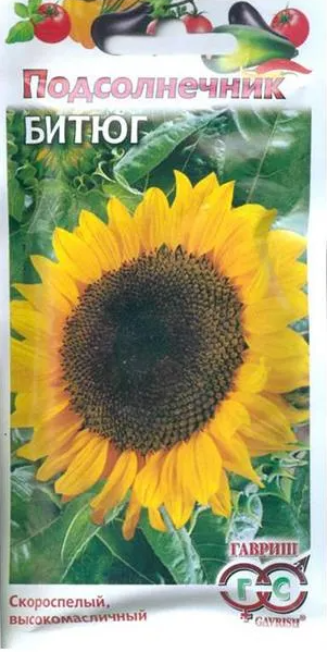 Снимок экрана 2026-03-04 171214