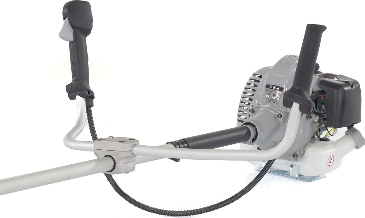 large-b797cfc5091ce45095fa99339d7ba270