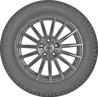 kormoran-snow-4002-1