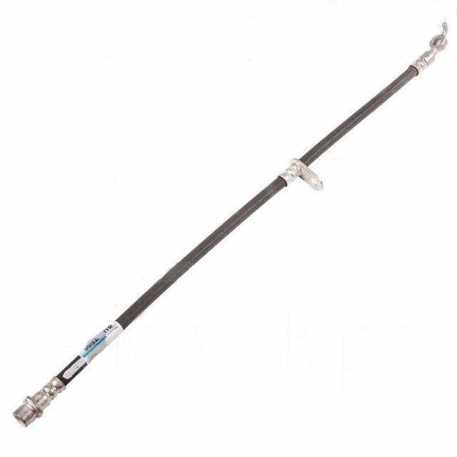 1717827150529_bulletin