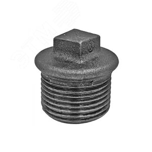 6100