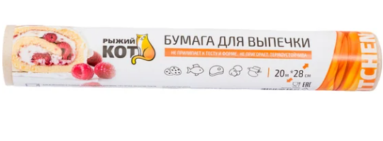 рыжий кот2