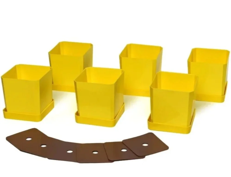 Снимок экрана 2026-02-25 154705