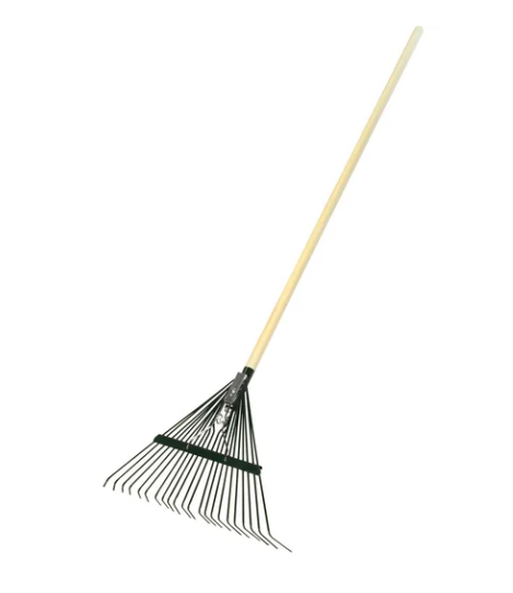 Снимок экрана 2026-03-03 164746