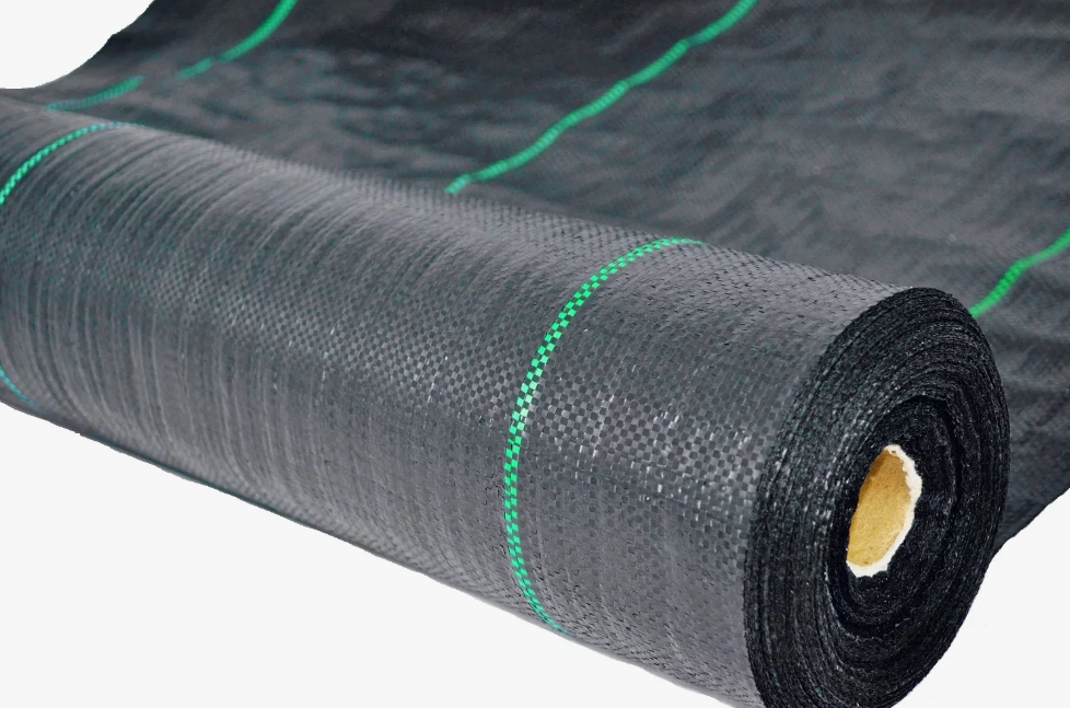 Снимок экрана 2026-04-16 113254