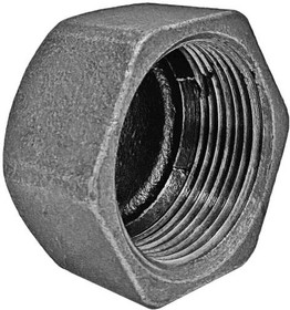 6101