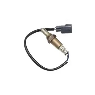 орноноглголо