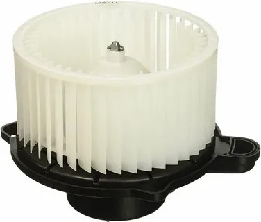 рноношнрор