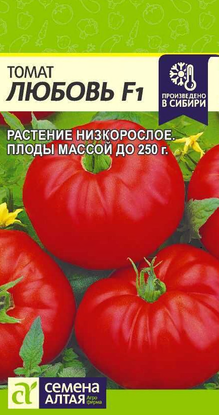 Снимок экрана 2026-03-11 163148