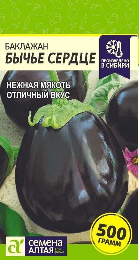 baklazhan_byche_serdce_sem_alt_03_g