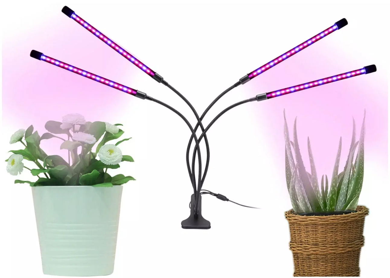 Снимок экрана 2026-03-23 132036