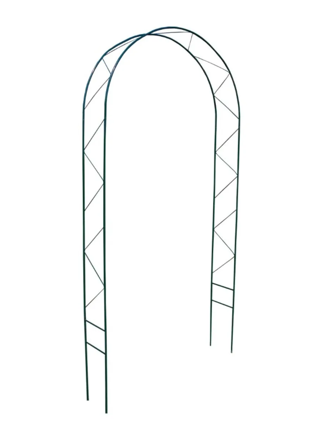 Снимок экрана 2026-02-24 100133