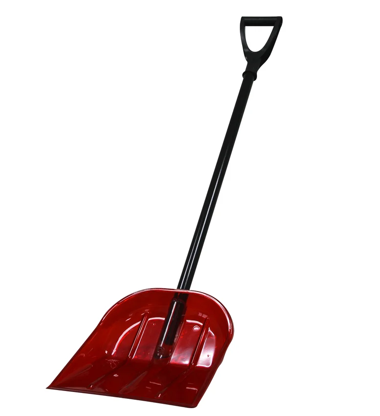 Снимок экрана 2026-02-25 093543