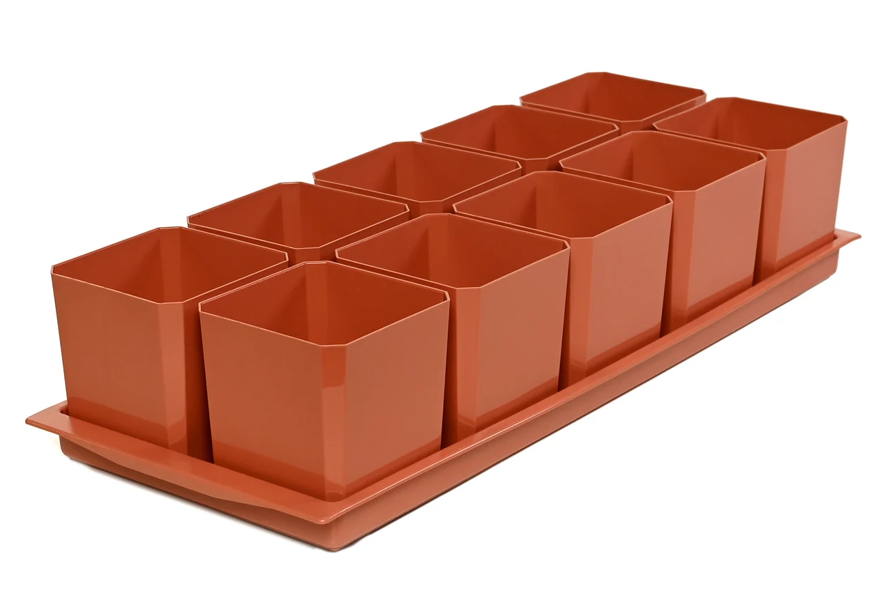 Снимок экрана 2026-03-02 154650