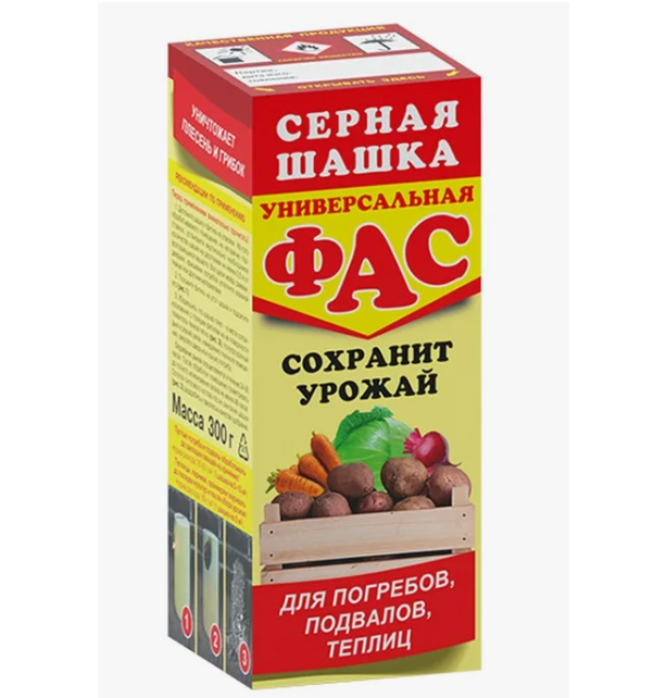 шашка2