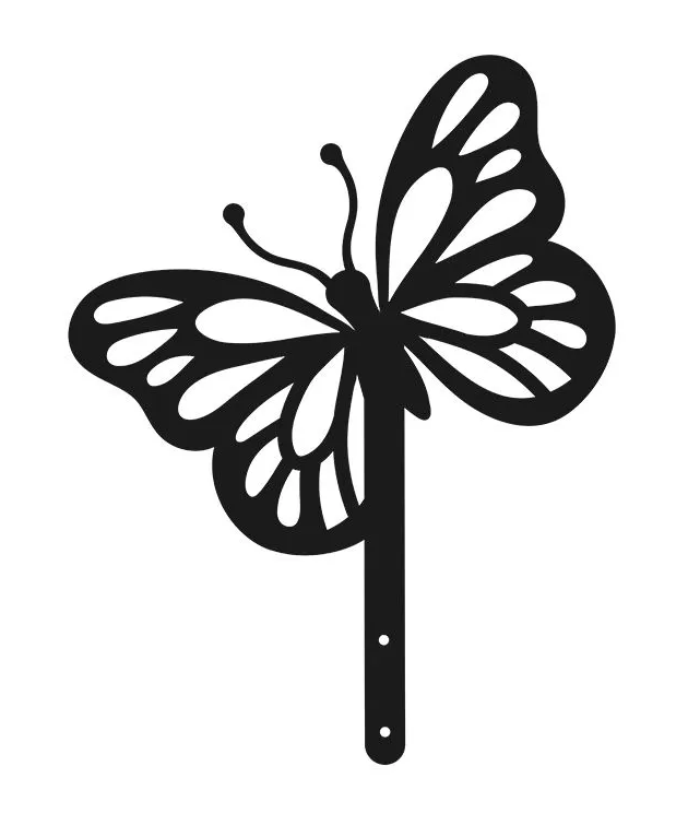 Снимок экрана 2026-03-02 095032