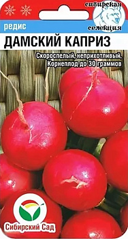 Редис Дамский каприз (скоросп, 30 гр) 2 гр Сиб сад
