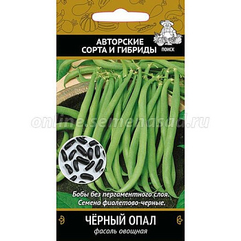 Фасоль Черный опал (ранний, куст) 20 шт Поиск