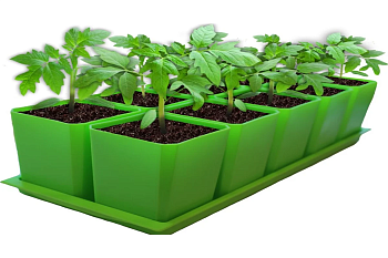 Набор горшков/рассады 10х0,75л зеленый