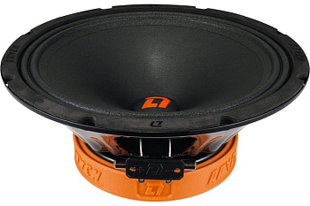 Система акустическая DL Audio Raven 250