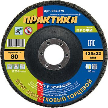 Круг лепестковый торцевой ПРАКТИКА "Профи" 125х22мм Р-80 (1шт)