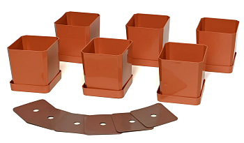 Набор горшков/рассады 6х0,5л терракотовый