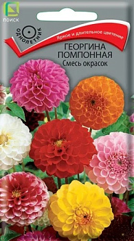 Цветы Георгина Смесь окрасок (помпонная, выс 100 см) 0,3 гр Поиск