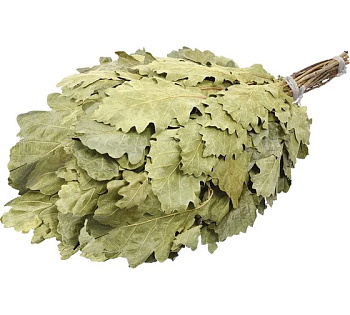Веник банный (дубовый)
