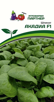 Шпинат Акадиа (для всесезоннего выращ-я) 1 гр Энза Удачный Сад