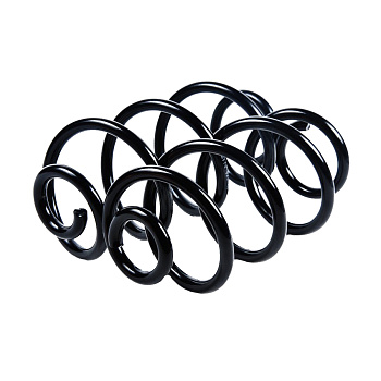 Пружина задняя JJS2115