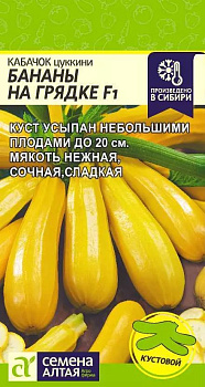 Кабачок Бананы на грядке (ранний, кусовой, желтый) 1 гр Семена Алтая