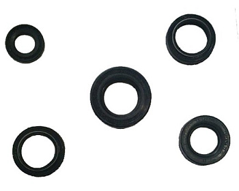 Набор сальников двигателя КАСКАД (5шт)