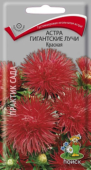 Цветы Астра Гигантские лучи Красная (одн, игольч, 60см) 0,3г Поиск