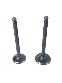 Клапана "Zodiak" OB-70/90/110 (компл)