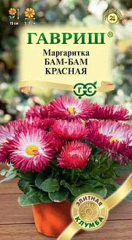 Цветы Маргаритка Бам-бам красная* 7 шт. серия Элитная клумба Гавриш