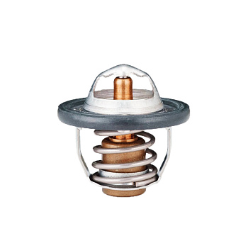 Термостат \W44DX-82\\TAMA (0005)