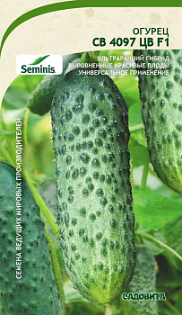 Огурец СВ4097 ЦВ F1 (ранний,самоопыляемый,11-13см) 5шт Сименес Удачный Сад