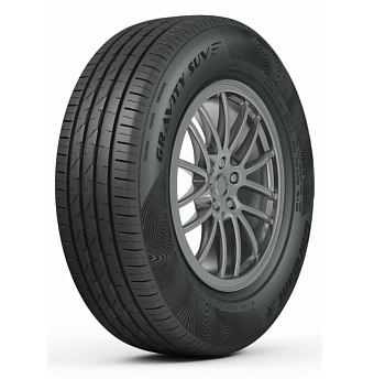 Автошина 205/55 R16 Cordiant Gravity 94V б/к
