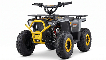 Квадроцикл ONEMOTO FFA1000 (аккум.12Ач;дв.1000Вт/48В;д.торм;кол.14X4.10-6/14X5.00-6; привод цепь)		