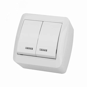 Выключатель Селигер 2кл ОП с подсветкой IP44 10А белый TDM