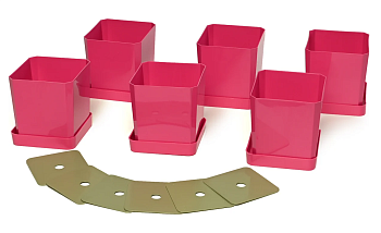 Набор горшков/рассады 6х0,5л франц.роза