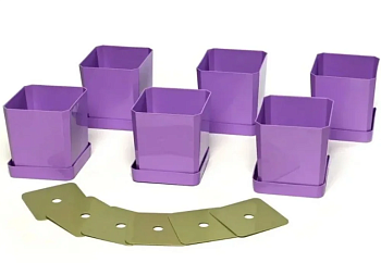 Набор горшков/рассады 6х0,5л фиолетовый