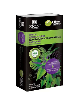 Набор для посадки декоративных комнатных растений