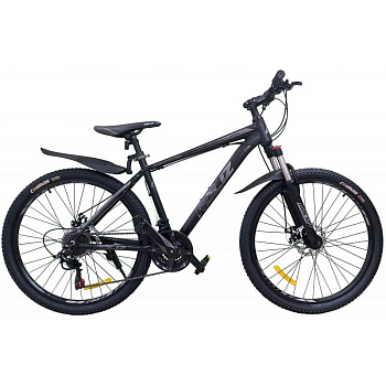 Ь Велосипед ROLIZ 29-9 10 серый GRAY Ь Велосипед ROLIZ 29-9 10 серый GRAY