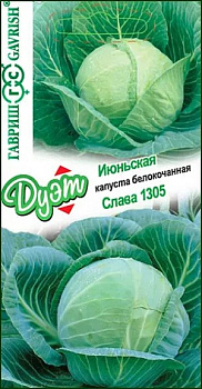 Капуста Слава 1305 (срспел, 2,4-4,5 кг, для квашения) Гавриш