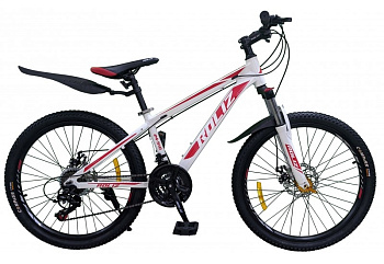 Велосипед ROLIZ 24-910 в ассорт.