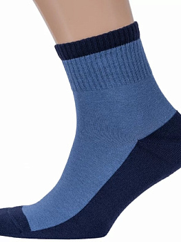 Носки мужские С2330 (27, Синий)